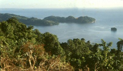 Ocean view from Ngarisaasuru, Solomon Islands