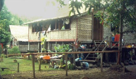 Solomon Islands thatch house