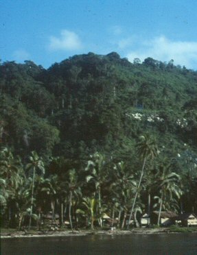 Mountain home of the Kwaio, Solomon Islands