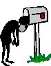 No mail