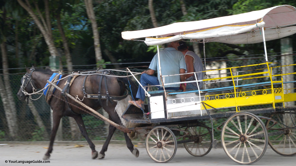 Horse drawn cart, Cuba