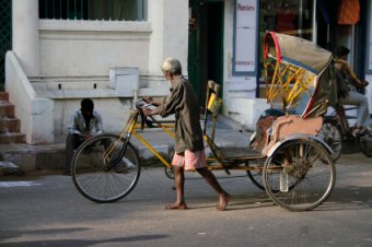 Bicycle rickshaw