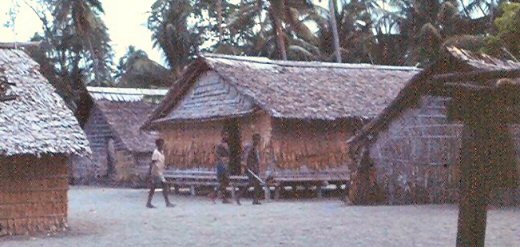 Leaf huts in a Solomon Islands village